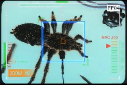 Spiderplaystation1.jpeg