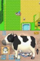 Harvest Moon DS